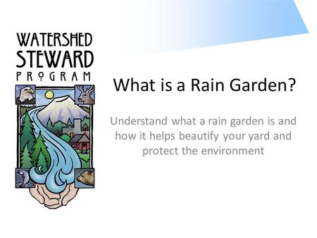What is a Rain Garden? Understand what a rain garden is and how it helps beautify your yard and protect the environment.