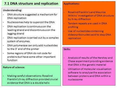 7.1 DNA structure and replication