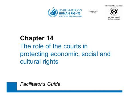 Chapter 14 	The role of the courts in 	protecting 	economic, social and 	cultural rights Facilitator’s Guide.