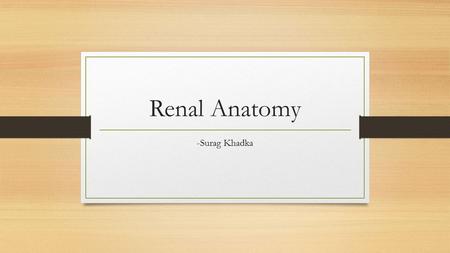 Renal Anatomy -Surag Khadka. Contents Anatomy of the Kidney Anatomy of the Nephron Anatomy of the glomerulus (Histology)