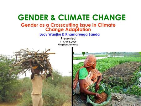 GENDER & CLIMATE CHANGE Gender as a Crosscutting Issue in Climate Change Adaptation Lucy Wanjiru & Khamarunga Banda Presented 1-3 June, 2009 Kingston Jamaica.