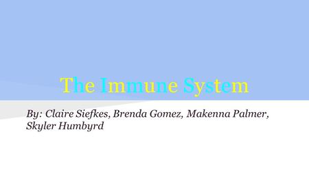 The Immune System By: Claire Siefkes, Brenda Gomez, Makenna Palmer, Skyler Humbyrd.