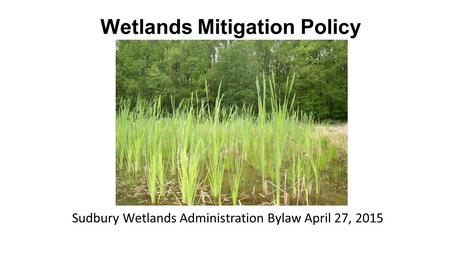 Wetlands Mitigation Policy Sudbury Wetlands Administration Bylaw April 27, 2015.