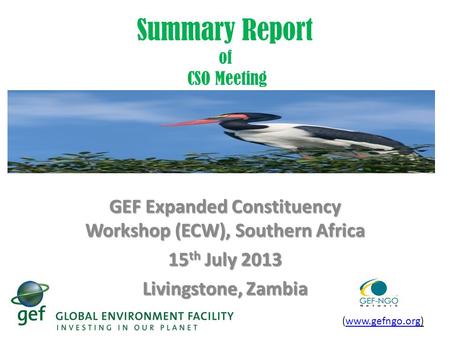 Summary Report of CSO Meeting GEF Expanded Constituency Workshop (ECW), Southern Africa 15 th July 2013 Livingstone, Zambia (www.gefngo.org)www.gefngo.org.