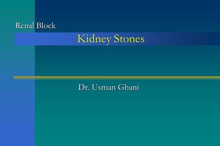 Renal Block Kidney Stones Dr. Usman Ghani.