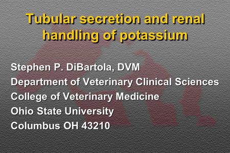 Tubular secretion and renal handling of potassium Stephen P. DiBartola, DVM Department of Veterinary Clinical Sciences College of Veterinary Medicine Ohio.