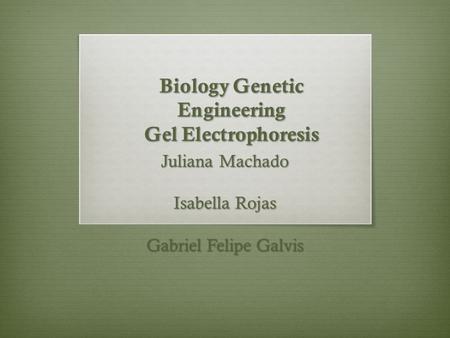 Biology Genetic Engineering Gel Electrophoresis Juliana Machado Isabella Rojas Gabriel Felipe Galvis.
