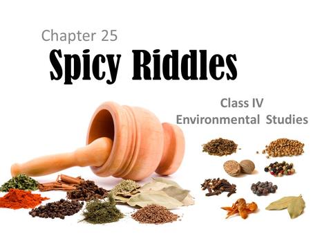 Chapter 25 Spicy Riddles Class IV Environmental Studies.
