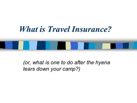 What is Travel Insurance? (or, what is one to do after the hyena tears down your camp?)
