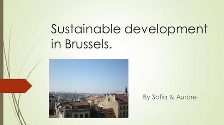 Sustainable development in Brussels. By Sofia & Aurore.