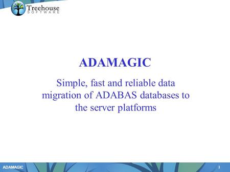 1 ADAMAGIC Simple, fast and reliable data migration of ADABAS databases to the server platforms.