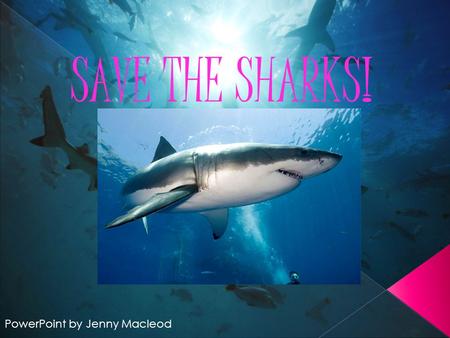 SAVE THE SHARKS! PowerPoint by Jenny Macleod.