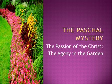 The Passion of the Christ: The Agony in the Garden.