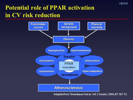 VBWG Potential role of PPAR activation in CV risk reduction Adapted from Tenenbaum A et al. Intl J Cardiol. 2004;97:167-72. Atherosclerosis Insulin resistance.