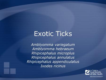 Exotic Ticks Amblyomma variegatum Amblyomma hebraeum Rhipicephalus microplus Rhipicephalus annulatus Rhipicephalus appendiculatus Ixodes ricinus.