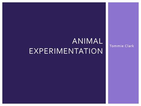Tommie Clark ANIMAL EXPERIMENTATION.  There are extremely different perspectives when looking at animal testing  A proper compromise would involve a.