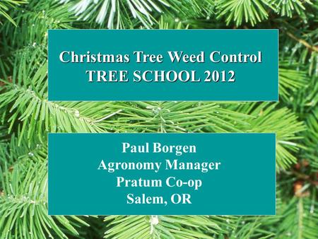 Christmas Tree Weed Control TREE SCHOOL 2012 Paul Borgen Agronomy Manager Pratum Co-op Salem, OR.