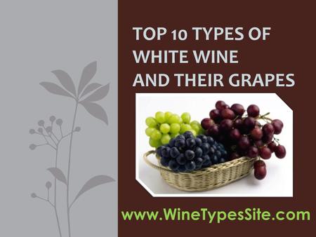 Top 10 Types of White Wine and Their Grapes