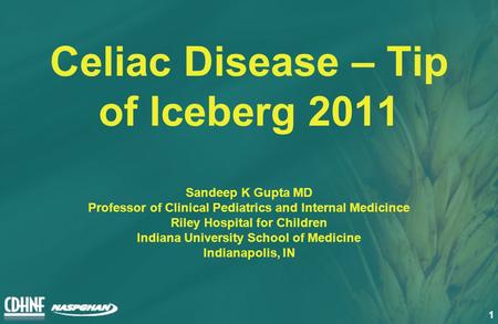 1 Celiac Disease – Tip of Iceberg 2011 Sandeep K Gupta MD Professor of Clinical Pediatrics and Internal Medicince Riley Hospital for Children Indiana University.