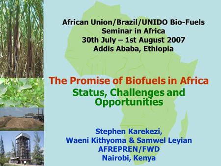 African Union/Brazil/UNIDO Bio-Fuels Seminar in Africa 30th July – 1st August 2007 Addis Ababa, Ethiopia The Promise of Biofuels in Africa Status, Challenges.
