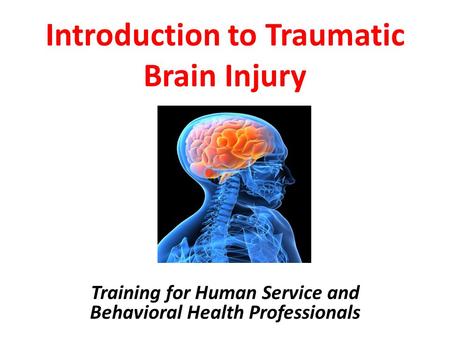 Introduction to Traumatic Brain Injury Training for Human Service and Behavioral Health Professionals.