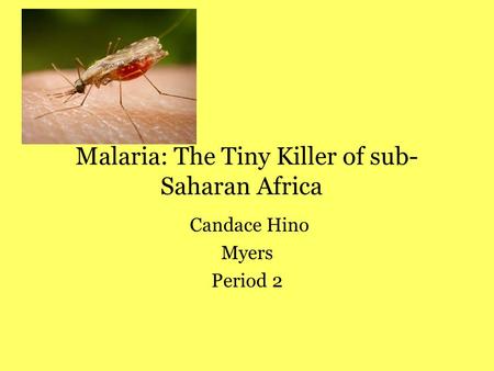 Malaria: The Tiny Killer of sub- Saharan Africa Candace Hino Myers Period 2.