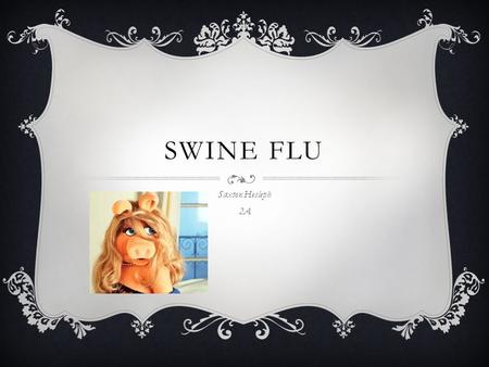 SWINE FLU Saxton Hesleph 2A. DEFINITION  Swine influenza virus is common throughout pig populations worldwide. Transmission of the virus from pigs to.