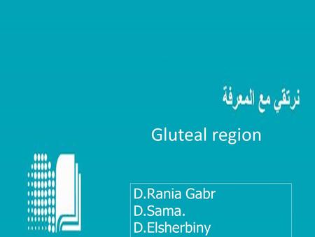 Gluteal region D.Rania Gabr D.Sama. D.Elsherbiny.