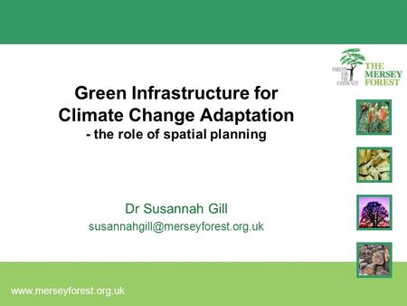 Green Infrastructure for Climate Change Adaptation - the role of spatial planning Dr Susannah Gill