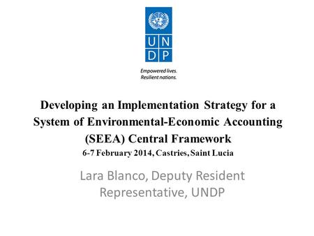 Developing an Implementation Strategy for a System of Environmental-Economic Accounting (SEEA) Central Framework 6-7 February 2014, Castries, Saint Lucia.