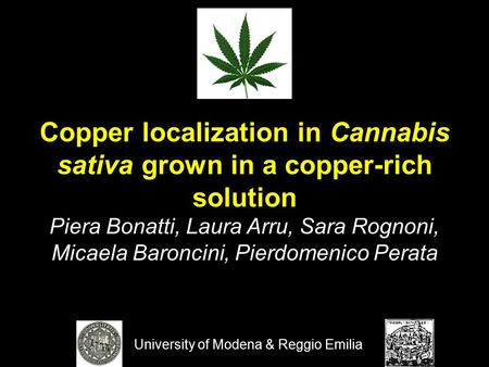 Copper localization in Cannabis sativa grown in a copper-rich solution Piera Bonatti, Laura Arru, Sara Rognoni, Micaela Baroncini, Pierdomenico Perata.