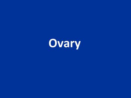 Ovary.