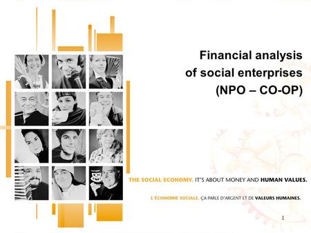 1 Financial analysis of social enterprises (NPO – CO-OP)