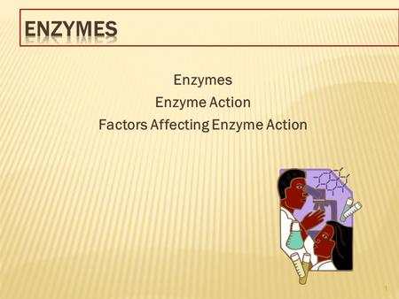 Enzymes Enzyme Action Factors Affecting Enzyme Action 1.