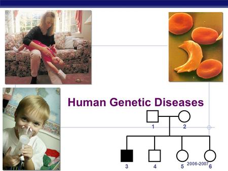 AP Biology 2006-2007 Human Genetic Diseases 12 3456.