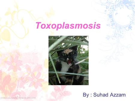 Toxoplasmosis By : Suhad Azzam.