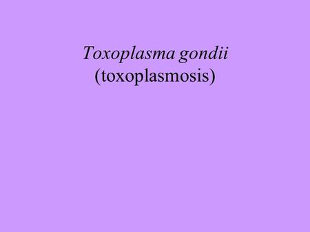 Toxoplasma gondii (toxoplasmosis)
