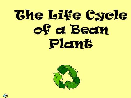 The Life Cycle of a Bean Plant