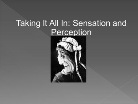 Taking It All In: Sensation and Perception