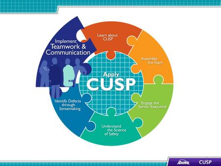 Learning Objectives Identify and apply effective communication strategies from CUSP and TeamSTEPPS® Recognize the importance of effective communication.