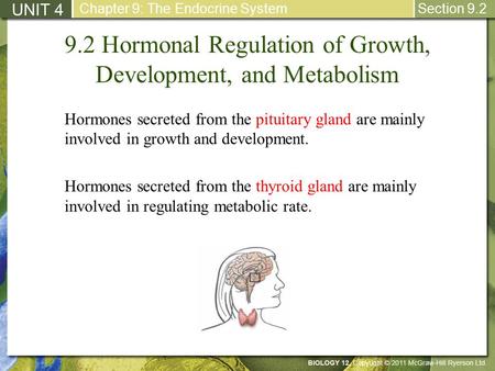 9.2 Hormonal Regulation of Growth, Development, and Metabolism