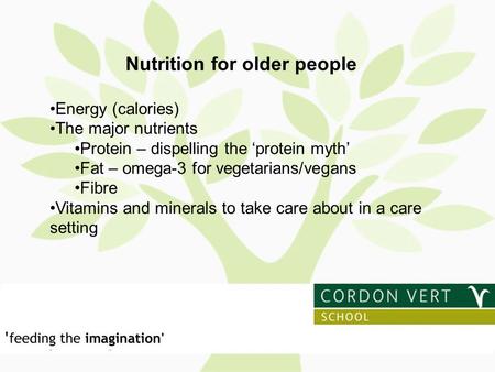 Nutrition for older people Energy (calories) The major nutrients Protein – dispelling the ‘protein myth’ Fat – omega-3 for vegetarians/vegans Fibre Vitamins.