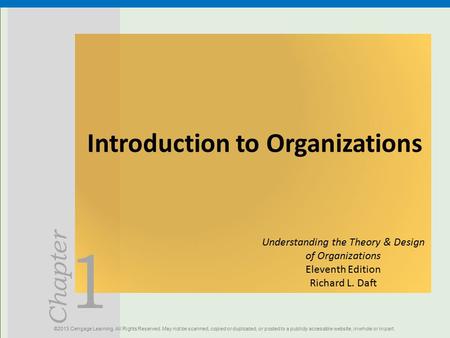 Introduction to Organizations