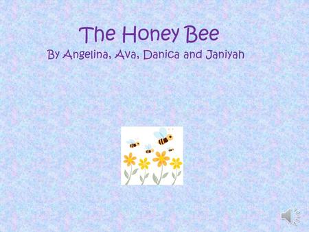 The Honey Bee By Angelina, Ava, Danica and Janiyah.