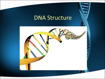 DNA Structure. The Chemical Composition of DNA DNA is made of 3 different components: a deoxyribose sugar, a phosphate group, and a nitrogenous base.