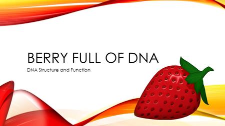 BERRY FULL OF DNA DNA Structure and Function. TEKS 3 (E) evaluate models according to their limitations in representing biological objects or events 5.