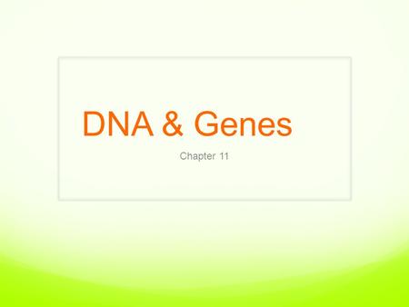 DNA & Genes Chapter 11.