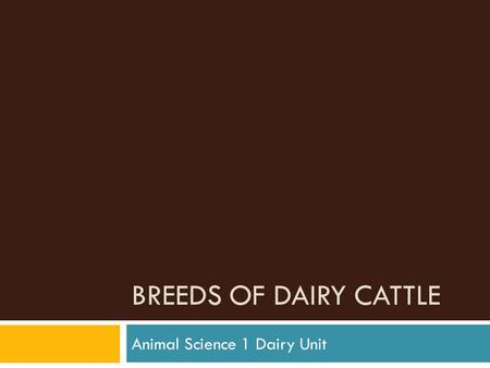 BREEDS OF DAIRY CATTLE Animal Science 1 Dairy Unit.