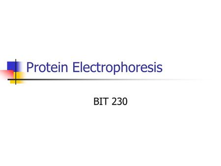 Protein Electrophoresis BIT 230. Electrophoresis Separate proteins based on Size (Molecular Weight - MW) SDS PAGE Isoelectric Point Isoelectric focusing.