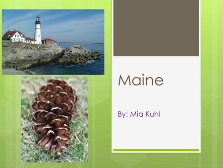 Maine By: Mia Kuhl. Maine’s State Bird Black-capped Chickadee.